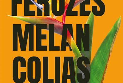 Ana Rüsche_Ferozes melancolias_295