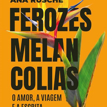 Ana Rüsche_Ferozes melancolias_295