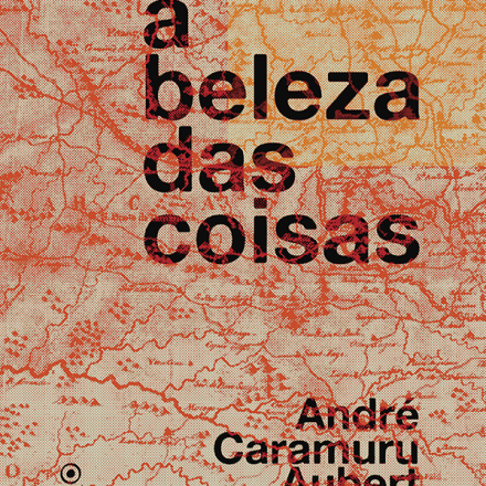 Andre_Caramuru_A_beleza_das_coisas_308
