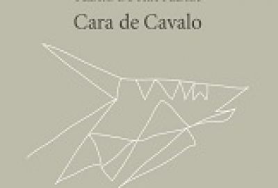 Cara_cavalo_Pedro_Dutra_Pedra_241