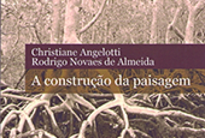 Christiane_Angelotti_Construção_paisagem_165