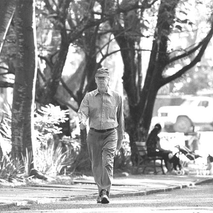 Pode caminhar tranquilo, Dalton. Teus segredos estão guardados Foto: Nani Gois