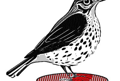 Ilustrações: Marcelo Frazão