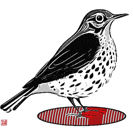 Ilustrações: Marcelo Frazão