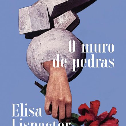 Elisa Lispector_O muro de pedras_313