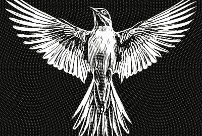 Ilustrações: Marcelo Frazão