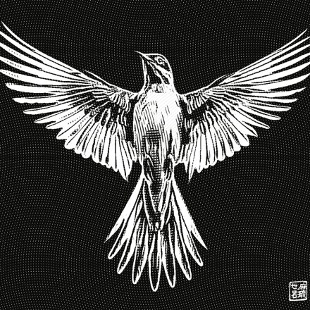 Ilustrações: Marcelo Frazão