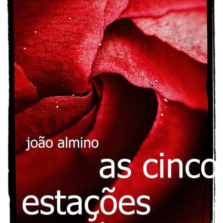 João Almino_As cinco estações do amor_310