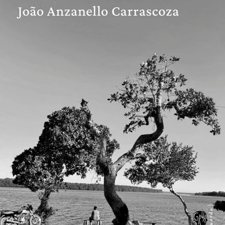 João Anzanello Carrascoza_Espinhos e alfinetes_311