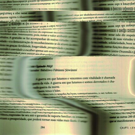 Ilustração: Carne Levare