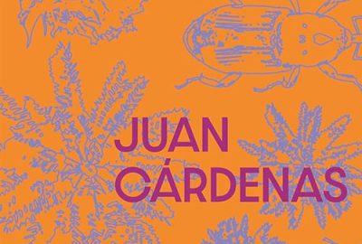 Juan Cárdenas_O diabo das províncias_303