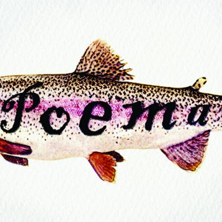 Ilustrações: Marcelo Frazão