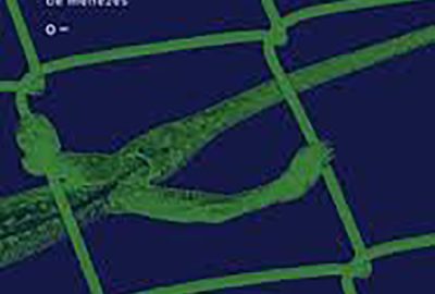 Marco de Menezes_Como estou dirigindo_306