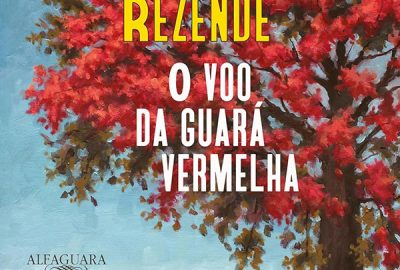 Maria Valéria Rezende_O voo da guará vermelha_310