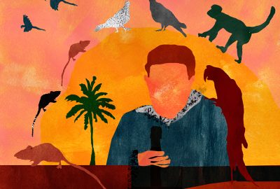 Ilustração: Denise Gonçalves