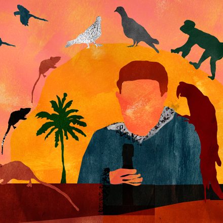 Ilustração: Denise Gonçalves