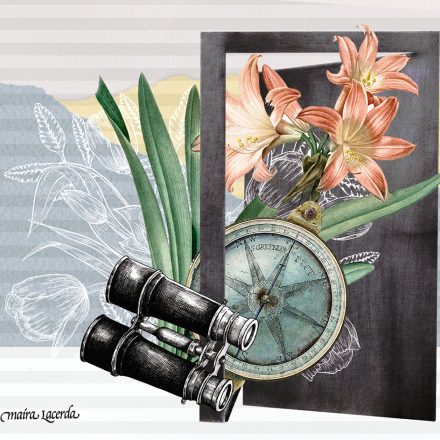 Ilustração: Maíra Lacerda