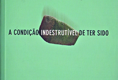 PRATELEIRA_Condiçao_indestrutivel_de_ter_sido_168