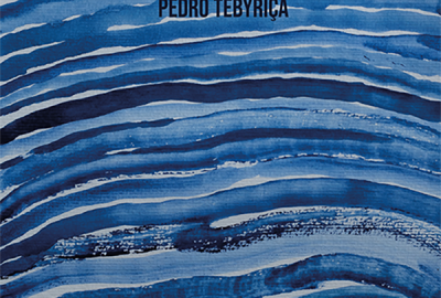 Pedro Tebyriça_A praga dos jacarés_316