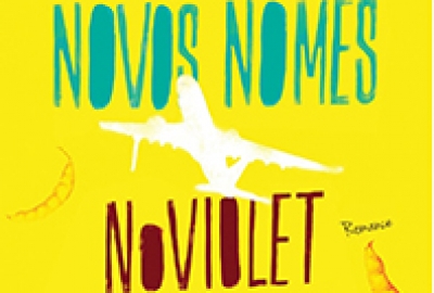 Prateleira_NoViolet_Bulawayo_Precisamos_novos_nomes_178