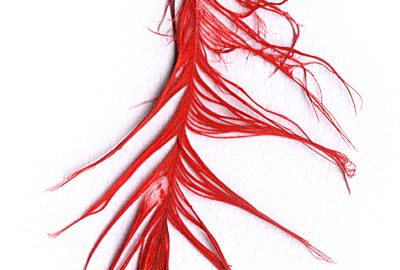 Ilustração: Carolina Vigna