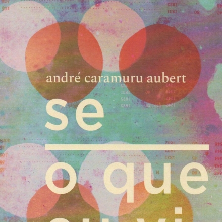 Se_que_eu_vi_Andre_Caramuru_231