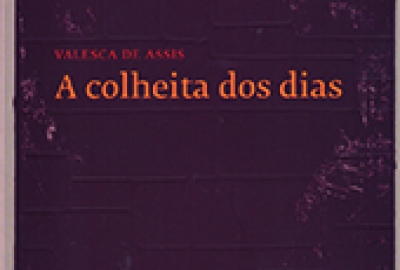 Valesca_Assis_Colheita_160