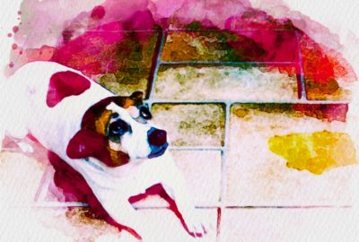 Ilustração: Marcelo Frazão