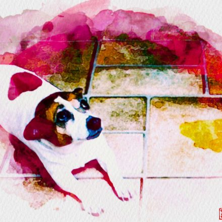 Ilustração: Marcelo Frazão