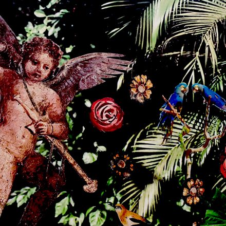 Ilustração: Mariana Ianelli