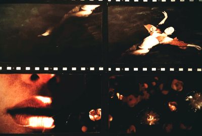 Ilustração: Mariana Ianelli