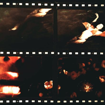 Ilustração: Mariana Ianelli