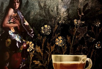 Ilustração: Mariana Ianelli