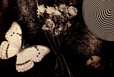 Ilustração: Mariana Ianelli