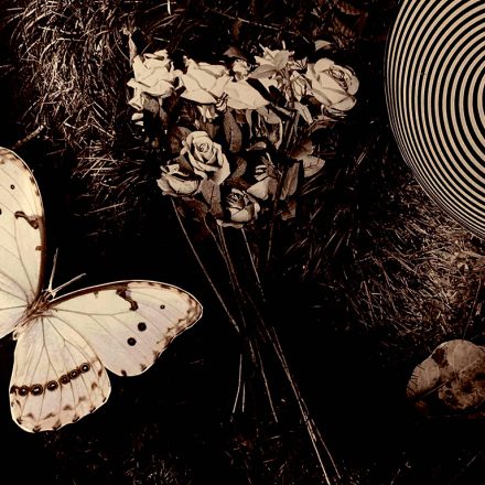 Ilustração: Mariana Ianelli