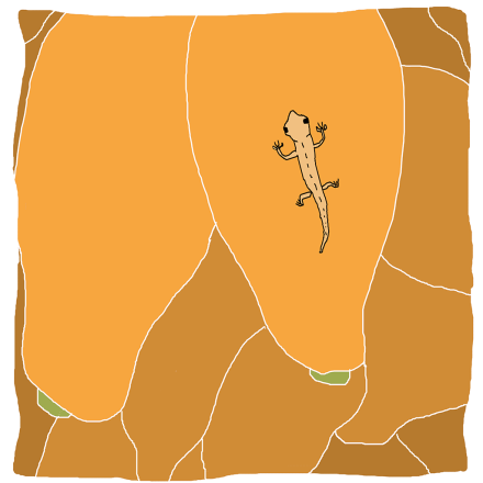 Ilustração: FP Rodrigues